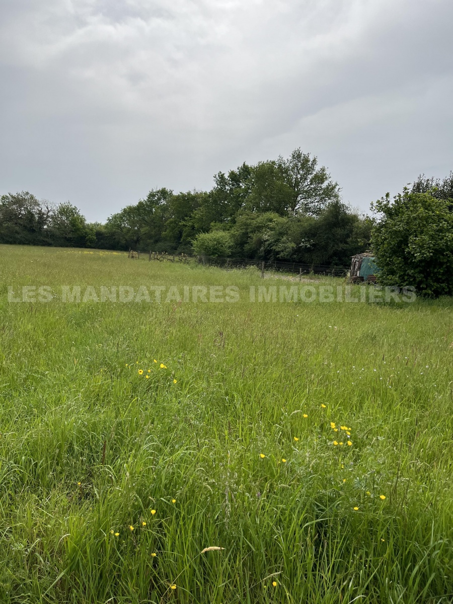 Vente Terrain à Saint-Martin-du-Fouilloux (49170) - Les Mandataires Immobiliers
