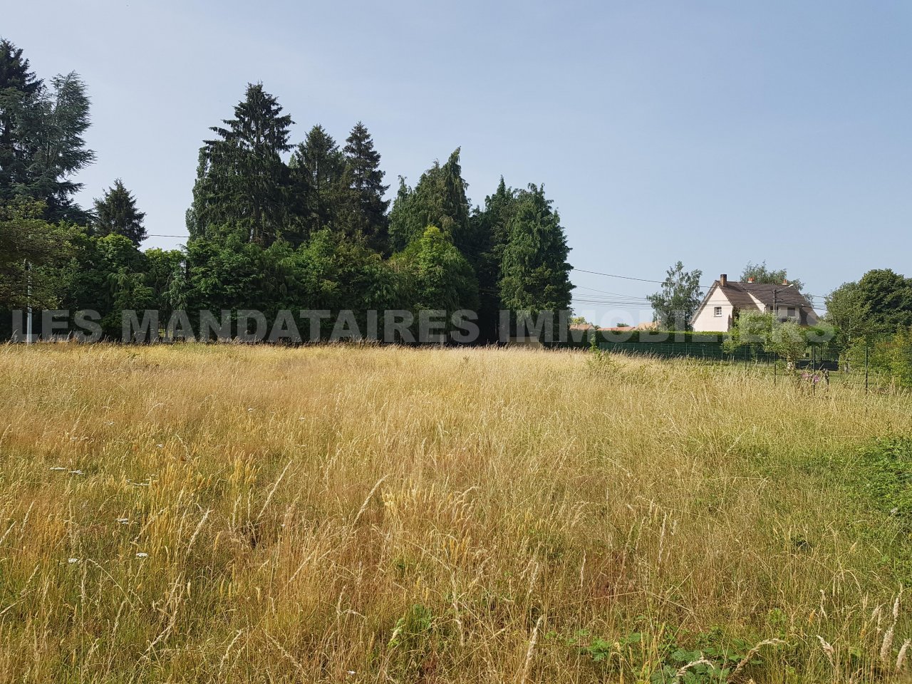 Vente Terrain à Saint-Mars-d'Outillé (72220) - Les Mandataires Immobiliers